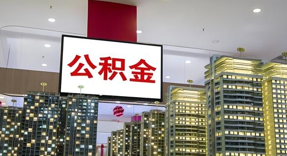 信阳上海公积金代办公司（上海公积金代办公司有哪些）